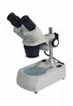 stereo microscope 1