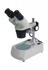 stereo microscope