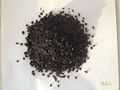 Coal Activated Carbon for Water Treatment 1