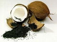 Coconut Shell Activated Carbon for Water