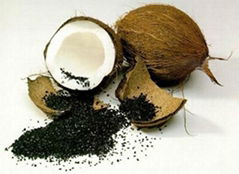 Coconut Shell Activated Carbon for Water Treatment