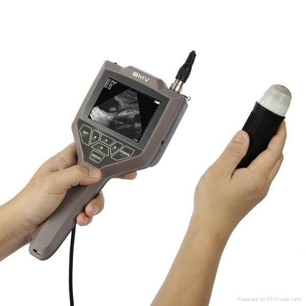 Full-digital swine, ovine ultrasound scanner 2