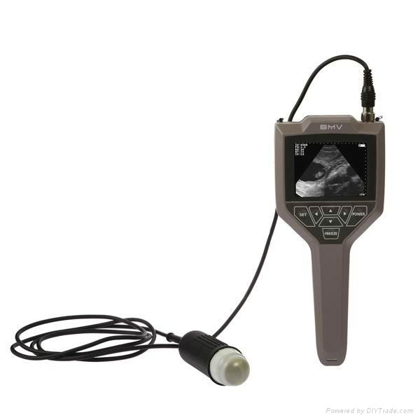 Full-digital swine, ovine ultrasound scanner 5