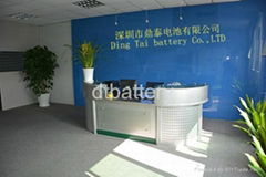 Ding Tai Battery Co.,Ltd