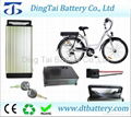 48V 10AH rear rack style heavy duty LiFePO4 battery pack 1