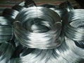 galvanized iron wire 