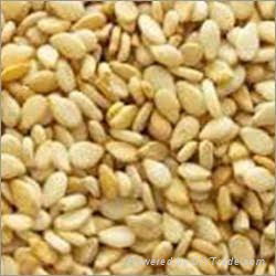 Sesame seed for sale 2