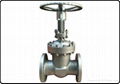 Rising stem resilient seated gate valves 1