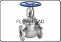 globe valve