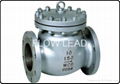 check valves