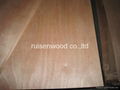 best wholesale price commercial plywood/packing plywood manufacture 2