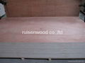 best wholesale price commercial plywood/packing plywood manufacture 4