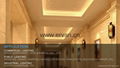 jewelry tube ,linear shelf lighting,TUV integrated T5 tube 2