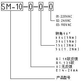 SM-10电动执行器说明书