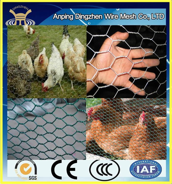 chicken wire made by China manufacturer with cheap price and high quantity