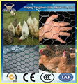 chicken wire made by China manufacturer with cheap price and high quantity 1