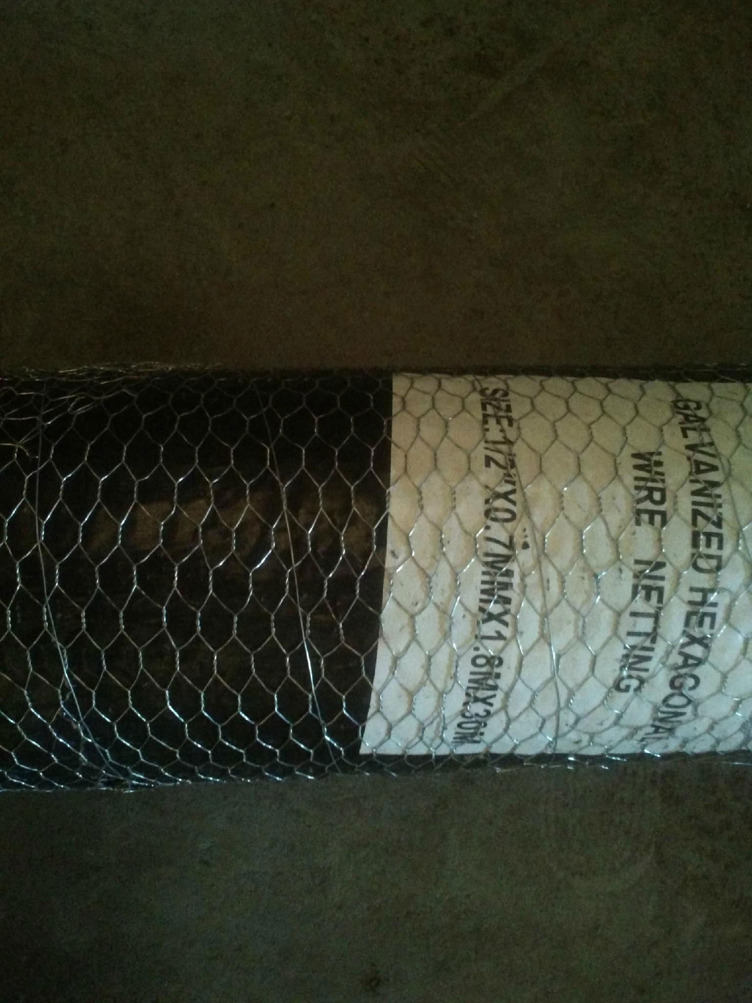 chicken wire made by China manufacturer with cheap price and high quantity 4