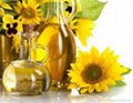 Crude and Refined Sunflower Oil 1