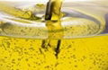 Best Sales on Refined Sunflower oil,palm