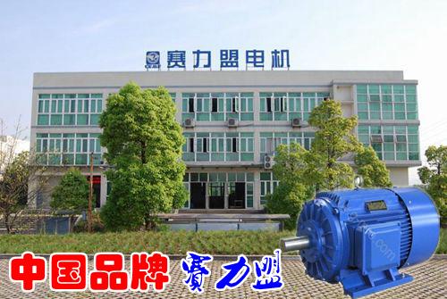 貴陽銷售YQ型號賽力盟電動機 5