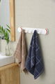 suction towel hook