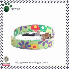 Colorful Blossom Printed Canvas Dog Collar for sale