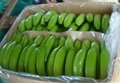 Green Banana 4
