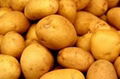 potato 4