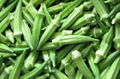 Okra