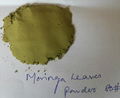 Moringa oleifera Leaf Powder