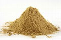 Ginger Extract ( Gingerols 40% by HPLC)