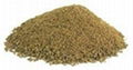 NONI FREEZE DRIED POWDER