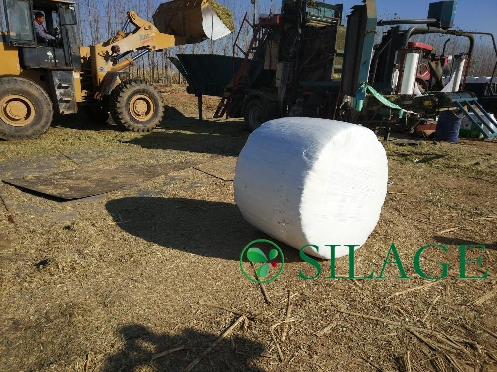 Best Quality Blown White LLDPE Silage Wrap 4