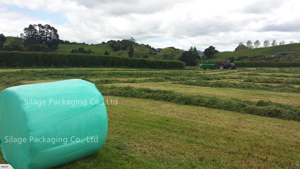 Best Quality Blown Green LLDPE Silage Wrap 750mm