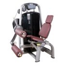 Seated leg curl fitness equipment