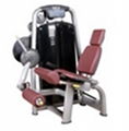 Seated leg extension fitness gym equipment