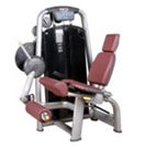 Seated leg extension fitness gym equipment