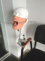 Cheap Dental Training Head Simulator