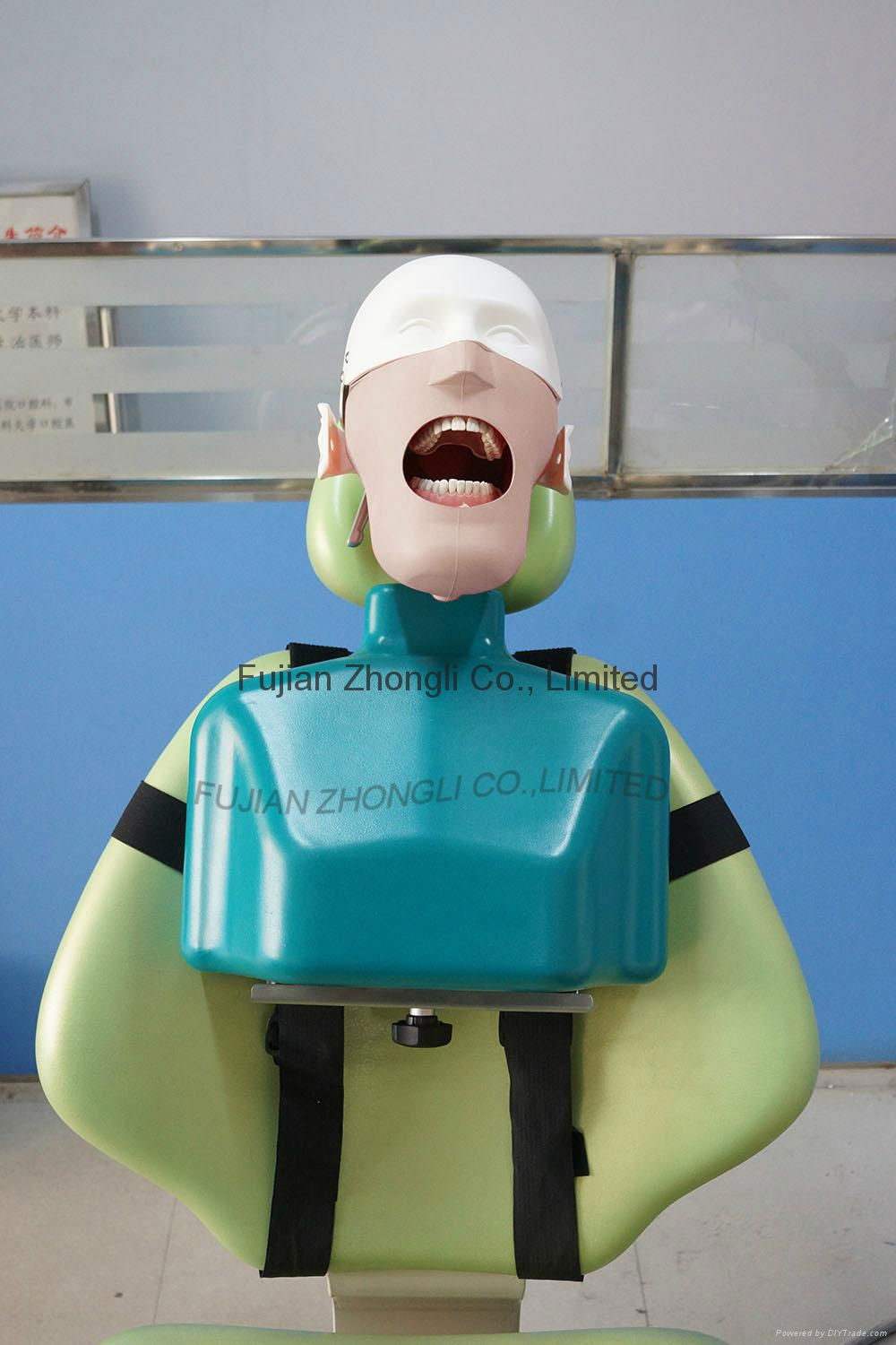 high quality Dental Training Head Simulator Manikin with Torso 