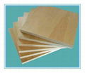 18mm BIRCH PLYWOOD For Furniture Usage 1