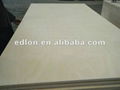 18mm BIRCH PLYWOOD For Furniture Usage 2