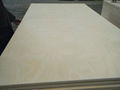 18mm BIRCH PLYWOOD For Furniture Usage 4