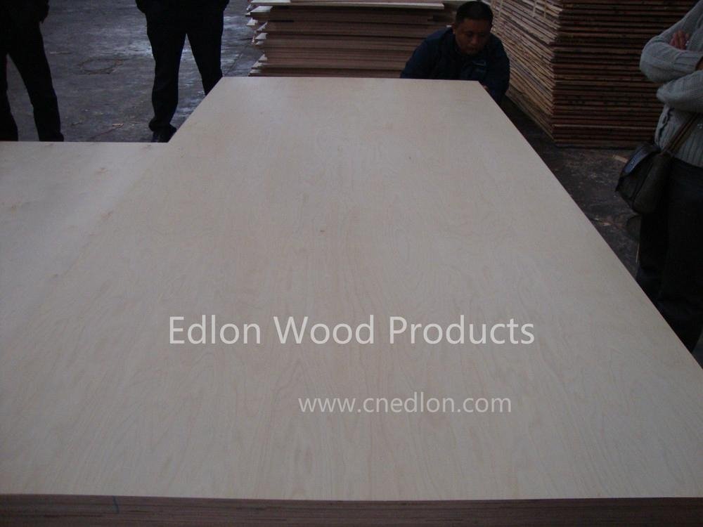 BB/CC Grade Carb E0 White Birch Plywood  5