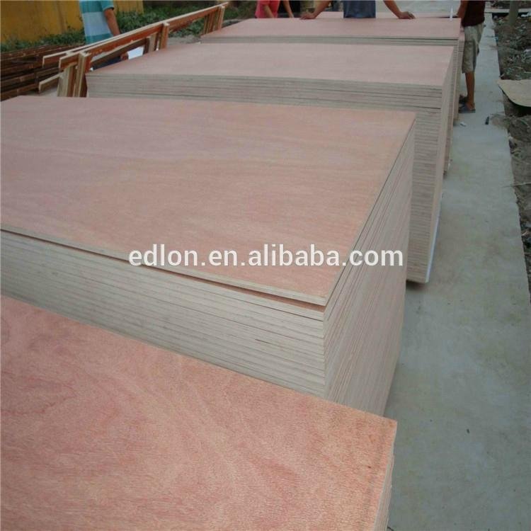 16mm E1 Glue Full Okoume Plywood to Israel market for furniture 2