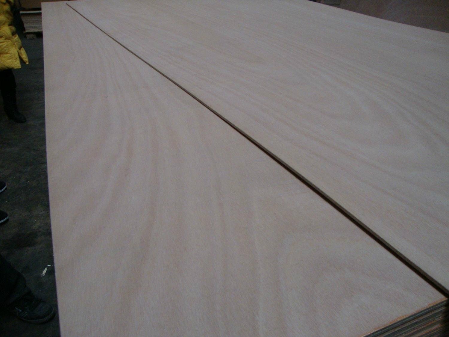 16mm E1 Glue Full Okoume Plywood to Israel market for furniture 5