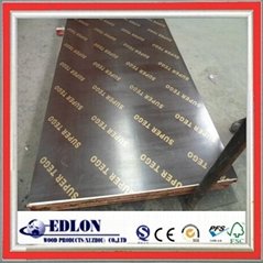 12mm  Poplar Core  Brown Film Faced Plywood price