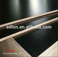 China Brand Bottom Price Black Shiny Film Faced Construction Plywood 2