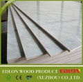 Laminated HPL Plywood