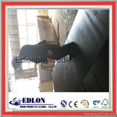 18MM Concrete Formwork  Black Film Faced Plywood 3