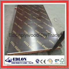 18MM Concrete Formwork  Black Film Faced Plywood